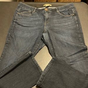 Democracy Itty Bitty Boot Cut Jeans